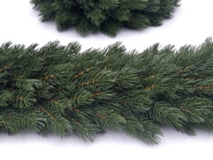 GIRLANDA SOSNA HIMALAJSKA 6m 