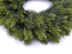 WIANEK ŚWIERK ALPEJSKI 