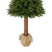 Świerk kanadyjski na pniu 100% PE LED