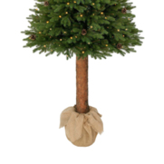 Świerk kanadyjski na pniu 100% PE LED