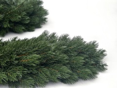 GIRLANDA SOSNA HIMALAJSKA 6m 