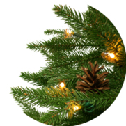 Świerk kanadyjski na pniu 100% PE LED