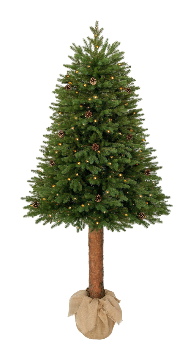 Świerk kanadyjski na pniu 100% PE LED