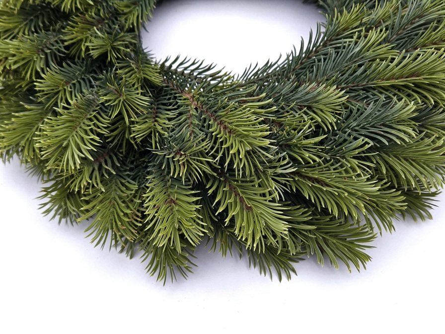 WIANEK ŚWIERK ALPEJSKI 