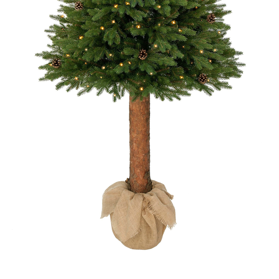 Świerk kanadyjski na pniu 100% PE LED