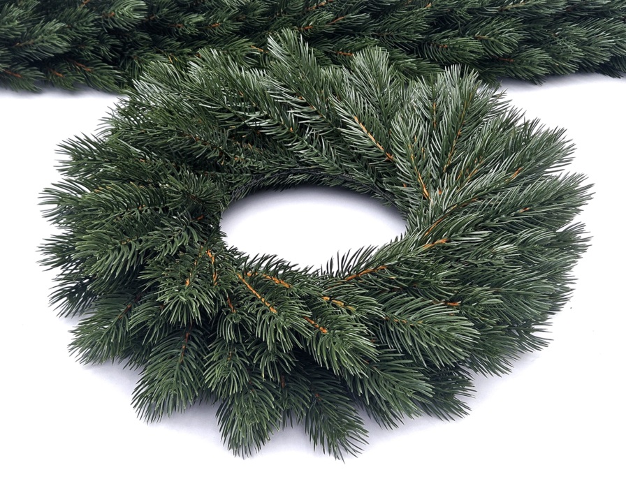 WIANEK SOSNA HIMALAJSKA 