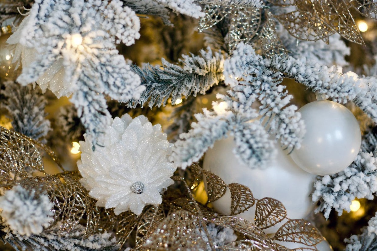 Choinka oszroniona – zimowa elegancja w Twoim domu