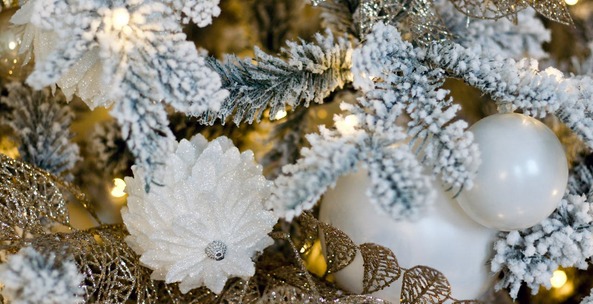 Choinka oszroniona – zimowa elegancja w Twoim domu