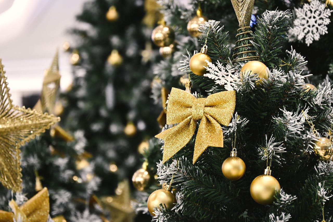 Choinka oszroniona (2).jpg (170 KB)