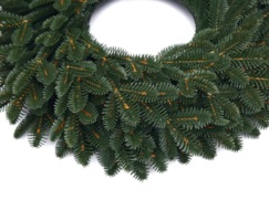 WIANEK JODŁA ANGIELSKA