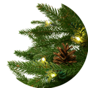 Świerk kanadyjski na pniu 100% PE LED