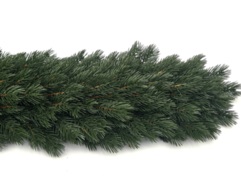 GIRLANDA SOSNA HIMALAJSKA 6m