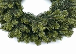 WIANEK ŚWIERK JAPOŃSKI