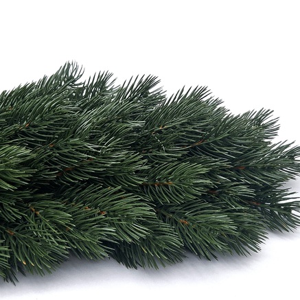 GIRLANDA SOSNA HIMALAJSKA 6m