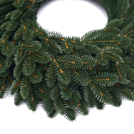 WIANEK JODŁA ANGIELSKA