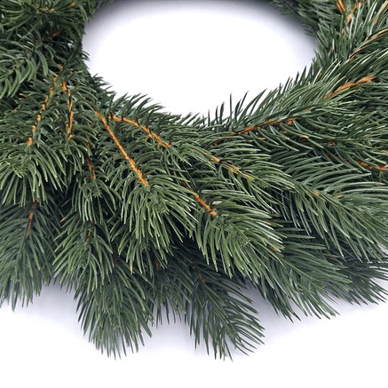 WIANEK SOSNA HIMALAJSKA