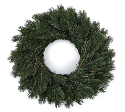 WIANEK SOSNA HIMALAJSKA