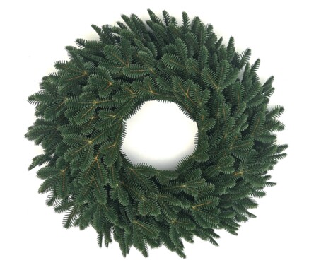 WIANEK JODŁA ANGIELSKA