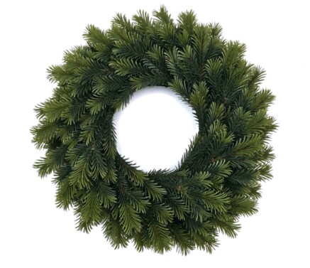 WIANEK ŚWIERK ALPEJSKI