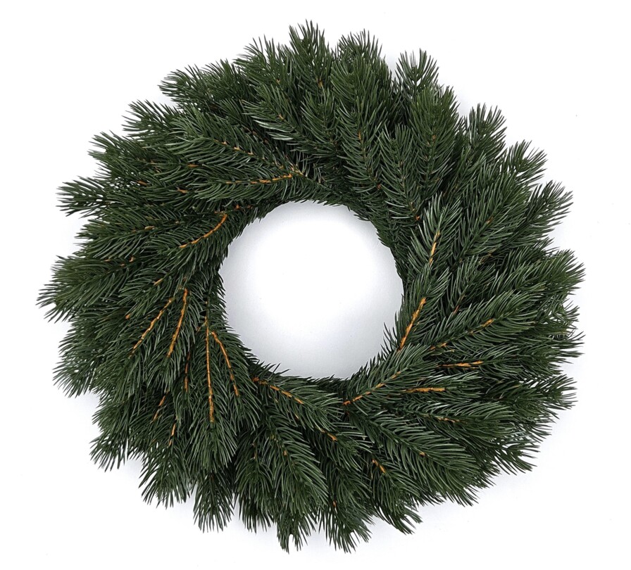 WIANEK SOSNA HIMALAJSKA