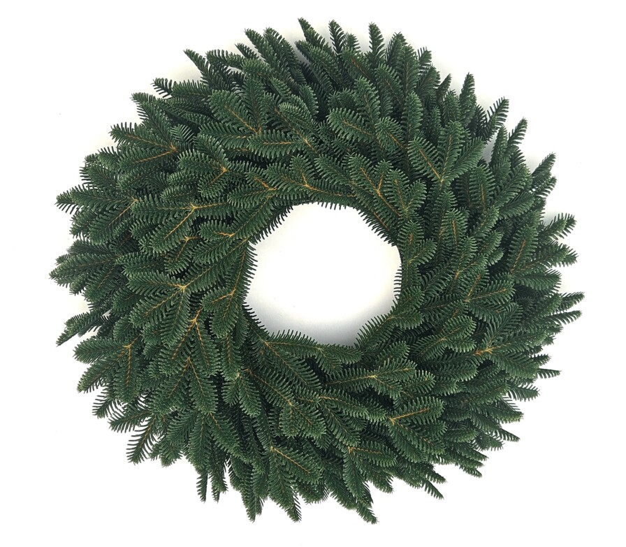 WIANEK JODŁA ANGIELSKA